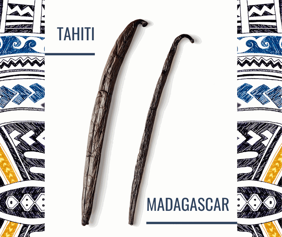 Vergleich zwischen Tahiti Vanille und Madagaskar Vanille Vergleich zwischen Tahiti Vanille und Madagaskar Vanille