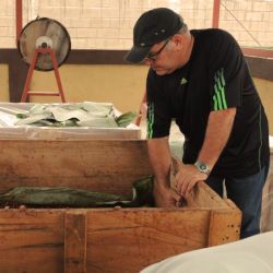 Kakao-Fermentation bei Familie Marquez in Venezuela.