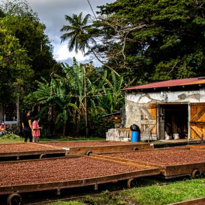 L'Esterre Plantage der Familie Ramdhanny in Grenada.