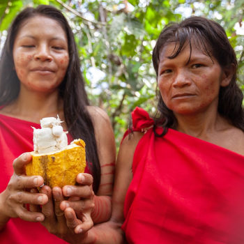 Frauen der Awajún mit Kakaofrucht