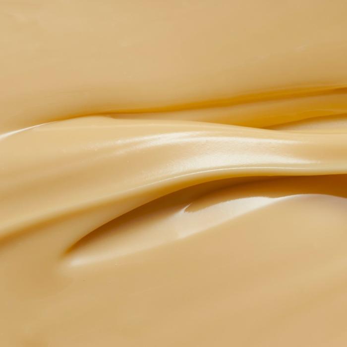 Geschmolzene Fermentierte Milch-Basis (Joghurt) Compoz von Valrhona