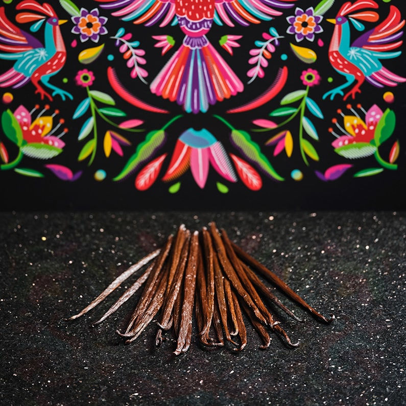 Vanilleschoten Mexiko von Norohy, Valrhona