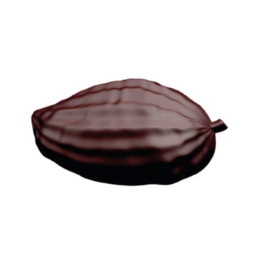 [170545] Kakaofrucht / Kakaoschote 13,5 x 7cm Schokoladenform 10842 Valrhona